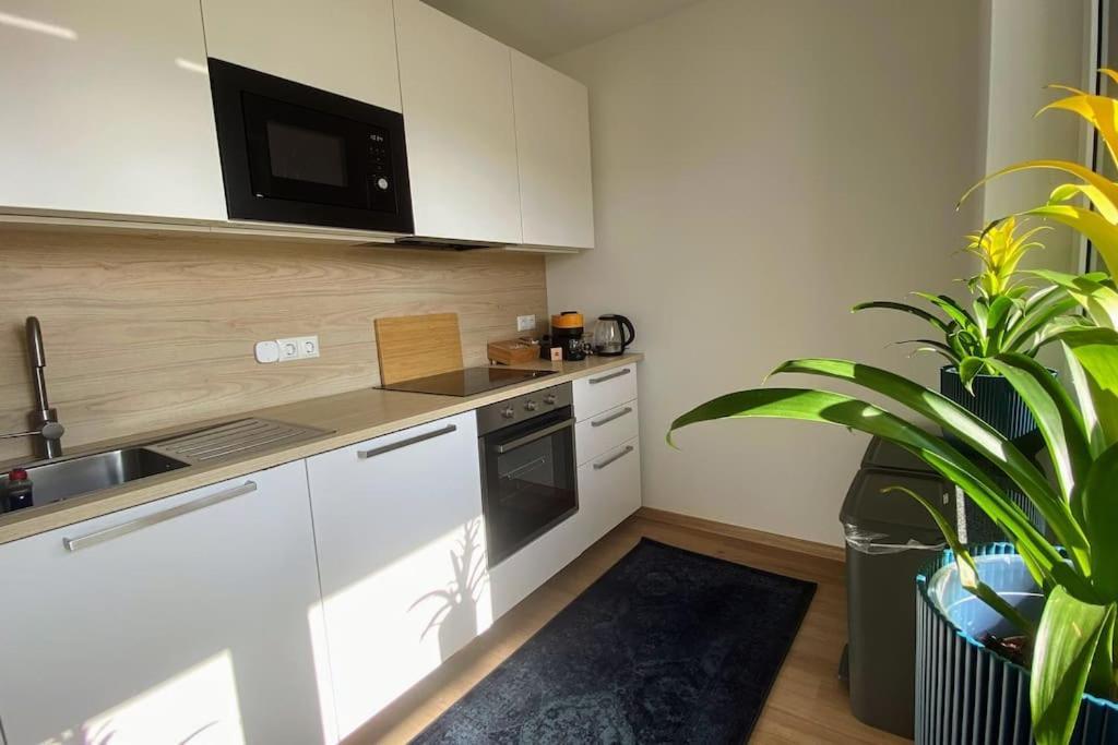 Strahlende Erdgeschoss-Wohnung Im Neubau Naehe Legoland Ichenhausen Exteriér fotografie